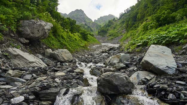 Stenen bedding van de rivier, zomer in Sochi