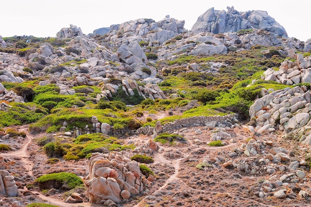 Stenen en rotsen in Capo Testa in de provincie Santa Teresa Gallura op het eiland Sardinië in Italië. Natuur, bergen en groene planten.