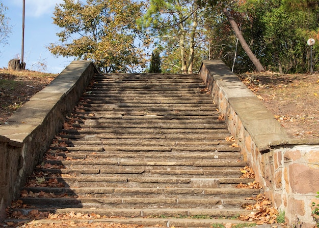 Stenen geplaveide trappen in park, in de herfst