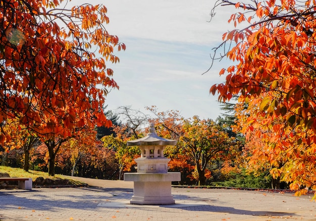 Foto stenen lantaarn in de herfst