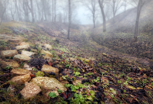 Stenen op Truvorovy-nederzetting in Izborsk (Pskov) en mistige afstand op een bewolkte herfstdag