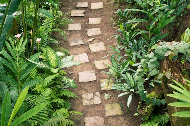 Stenen pad tussen tropische planten in de botanische tuin van Singapore