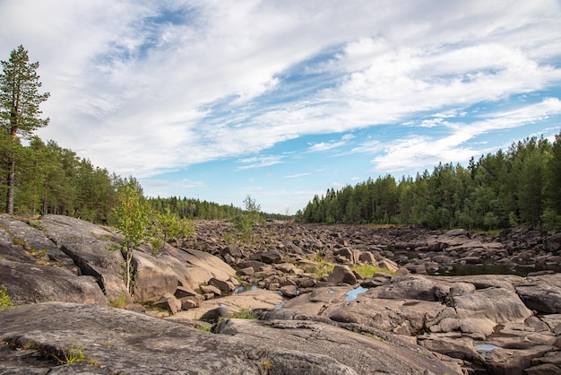 Stenen rivier. zomerlandschap van een rivier met rotsen en bos in belomorsk, karelië, rusland. panoramisch uitzicht.