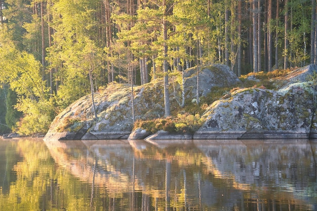 Stenen rotsen met coniferen aan het meer in Zweden in Smalland Nature in Scandinavië