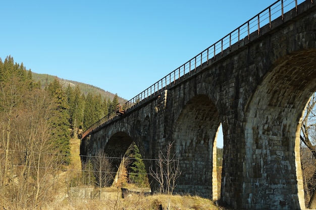 Stenen spoorbrug in prachtige bergen met sparren