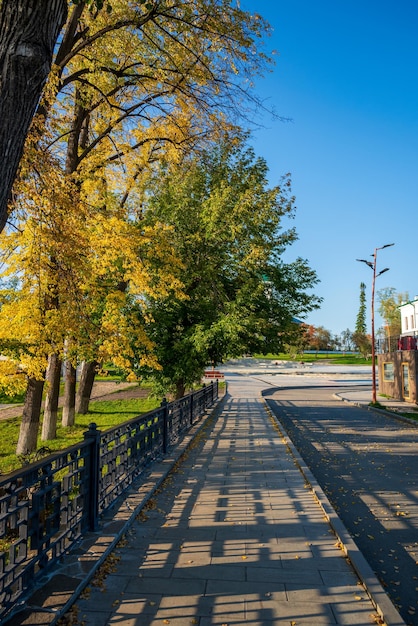 Foto stenen weg in het park met felle kleurrijke bomen.