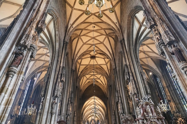 Stephansdom in wenen, oostenrijk