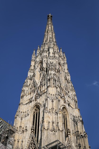 Stephansdom in Wenen, Oostenrijk