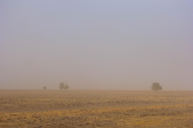 Steppe in dust because of the strong wind in Kalmykia Republic Russia