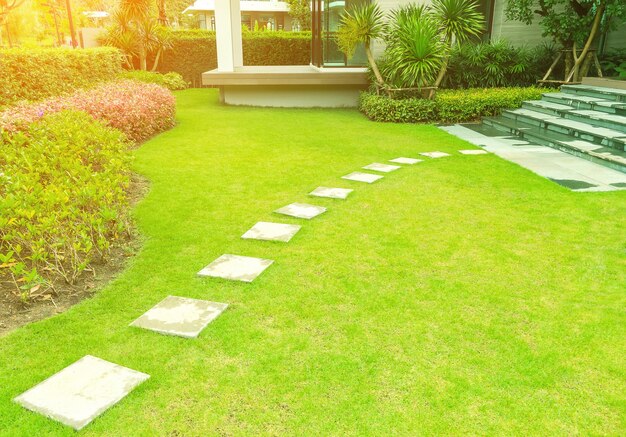 Photo stepping stones in garden