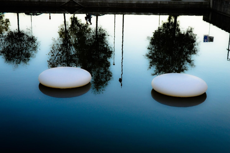 Photo stepping stones in pond