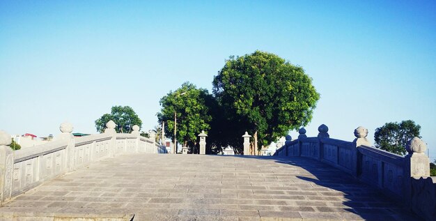 Steps amidst trees against clear blue sky