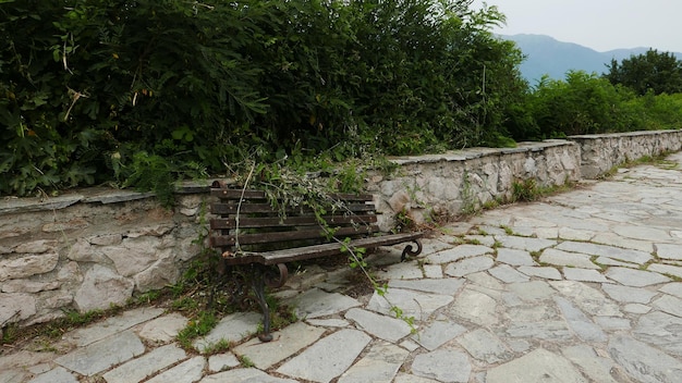 Steps by trees against sky