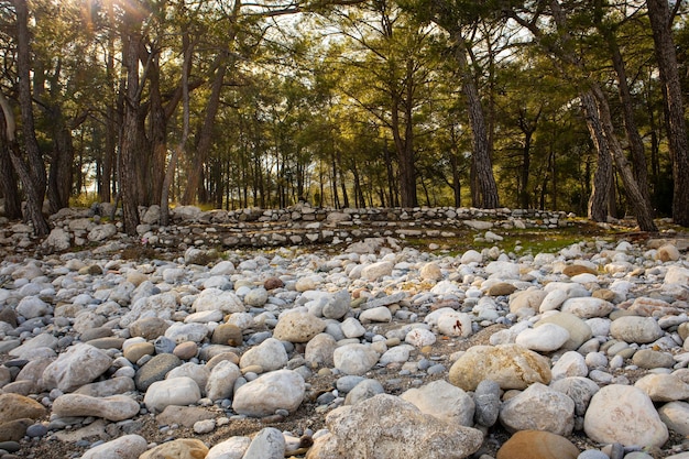 写真 公園への階段