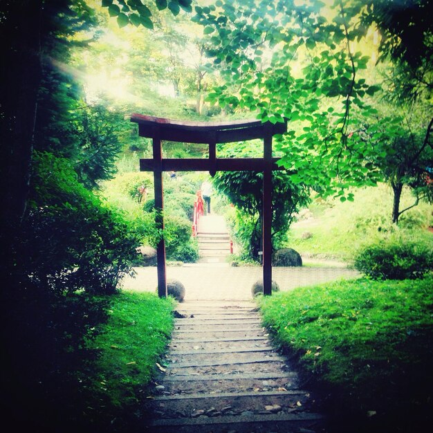 Photo steps leading towards gate