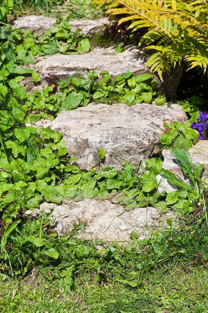 Steps overgrown with grass