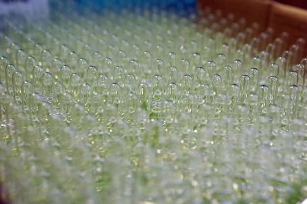 Steriele capsules voor injectie Flessen op de bottellijn van de farmaceutische fabriek