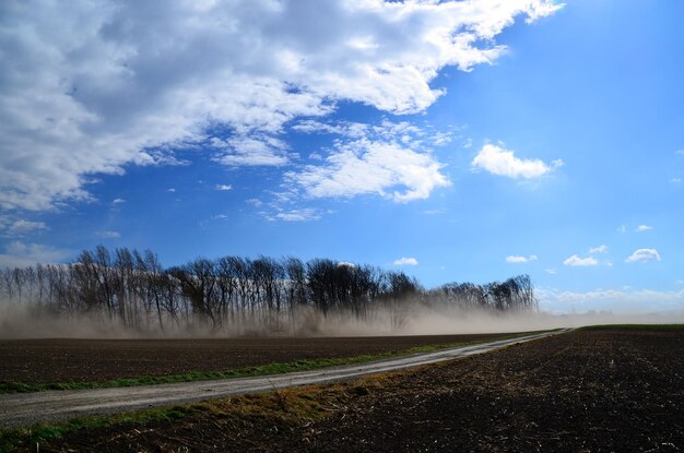 Sterke zandstorm op een veld