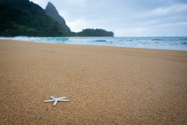 Foto sterrenzee op het zand