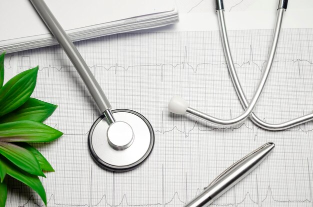 Фото Стетоскоп на кардиограмме с ручкой и зеленым растением на столе
