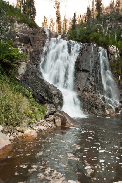 Stevenson Falls in the Yarra Valley near Melbourne