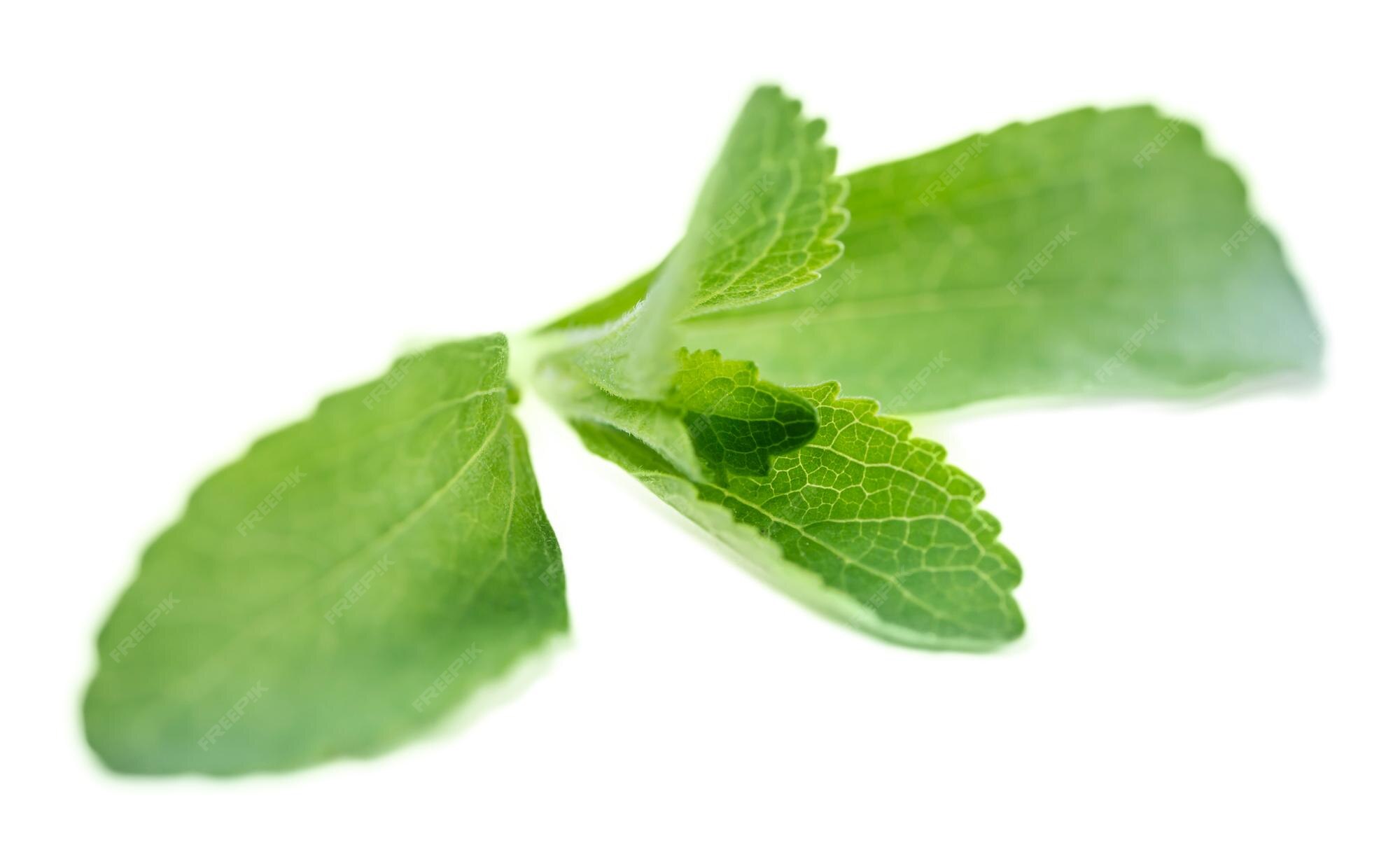 Premium Photo Stevia leaves isolated on white