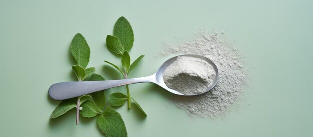 Photo stevia powder in teaspoon viewed from above on a isolated pastel background copy space