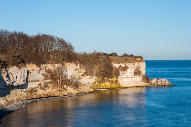 Stevns Klint Cliff in Denmark