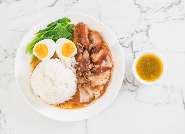 Stewed pork leg with rice