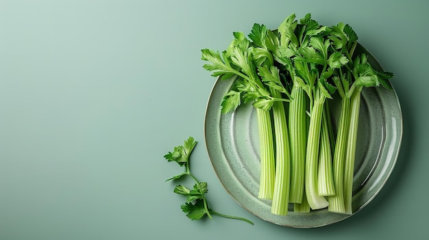 Photo stick of celery over a pale green dish with a pale green backdrop and space generative ai
