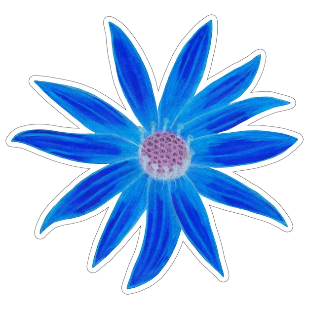Наклейка из голубого топинамбура, выделенная на белом фоне Наклейка с цветочным элементом топинамбура, нарисованная цветным карандашом