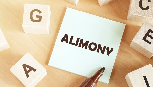 Sticker with text alimony in the middle of wooden cubes with letters