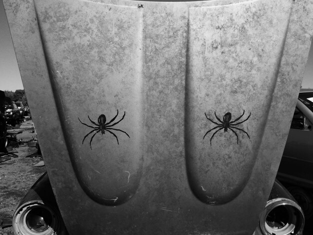 Photo stickers in shape of spiders on car hood