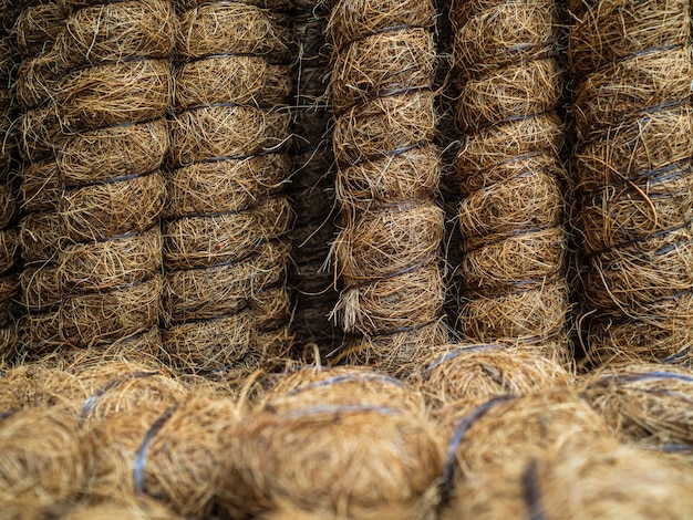 Sticks om planten te ondersteunen. Kokossteun ter ondersteuning van stammen van jonge bomen