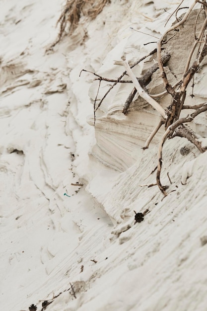 Photo sticks and stones on the beach