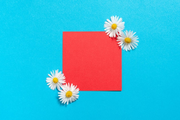 Sticky Note With Important Messages With Flowers On Both Sides Memo With Crutial Informations With Daisies Around Piece Of Paper With Current Announcements