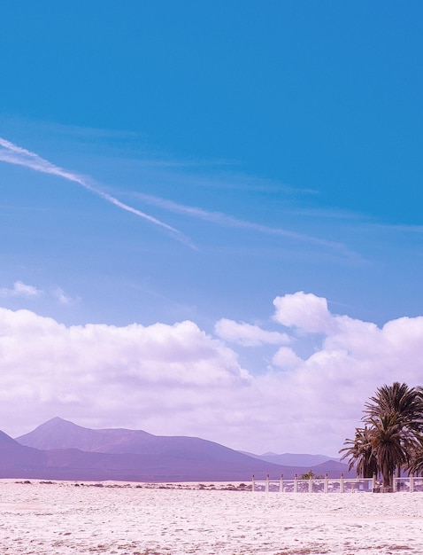 Stijlvol strandmodebehang Reizen Canarische eiland Woestijn Minimalistische esthetiek