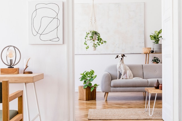 Stijlvolle compositie van creatief, gezellig ruim appartementinterieur met grijze bank, salontafel, planten, tapijt, hond en accessoires.
