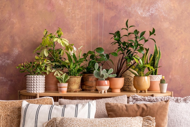 Stijlvolle compositie van creatief ruim woonkamerinterieur met planten, bankkussens en stijlvolle accessoires Botanische ruimte van een gezellige kamer Bruine muren Sjabloon