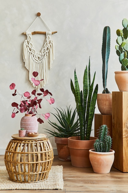 Foto stijlvolle compositie van gezellig woonkamerinterieur met kopieerruimte, veel planten en cactussen, houten kubussen en accessoires. beige muur, tapijt op de vloer. planten houden van concept. sjabloon.