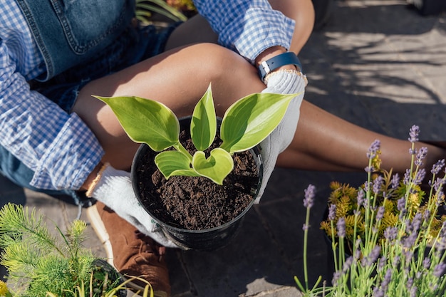 Stijlvolle jonge hovenier die een plant vasthoudt voordat hij in de tuin bovenaanzicht plant