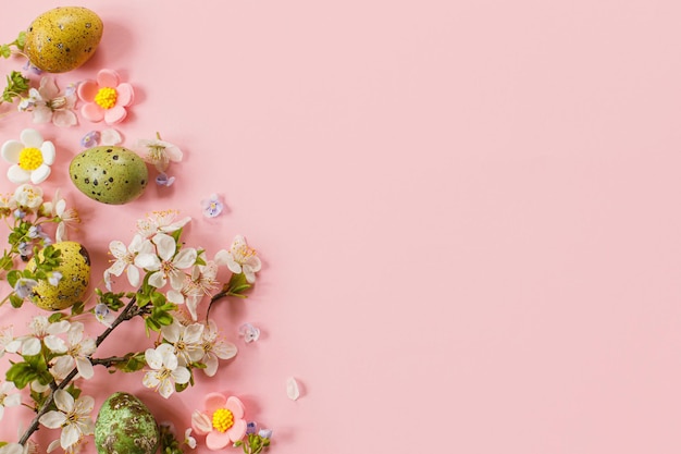 Stijlvolle paaseieren en bloeiende bloemen op roze achtergrond plat leggen Vrolijk Pasen Natuurlijk geschilderde kleurrijke kwarteleitjes en kersenbloesem Moderne wenskaart of banner kopie ruimte