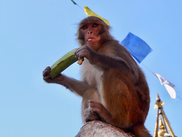 写真 まだ空腹だ