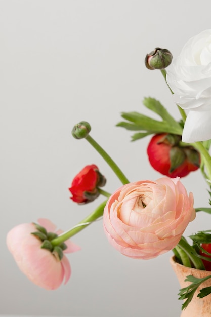 Foto natura morta disposizione dei fiori interni in vaso