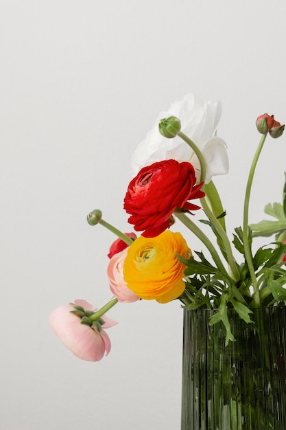 Still life arrangement of interior flowers in vase