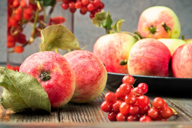 Photo still life berries of a viburnum and garden seasonal apples in plates