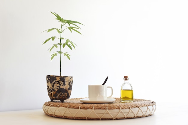 Still life of CBD oil with natural plant, infused cup and bottle of hemp oil.