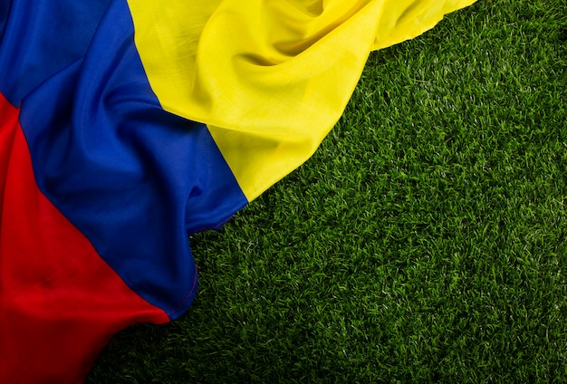 Still life of colombian national soccer team