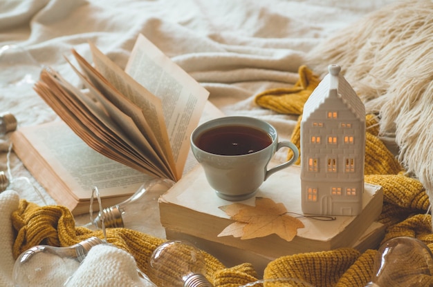 Still life details in home interior of living room. Sweaters and cup of tea with a candle house and autumn decor on the books. Read, Rest. Cozy autumn or winter concept.