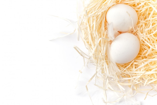 Still life of eggs, Eggs on the dry grass